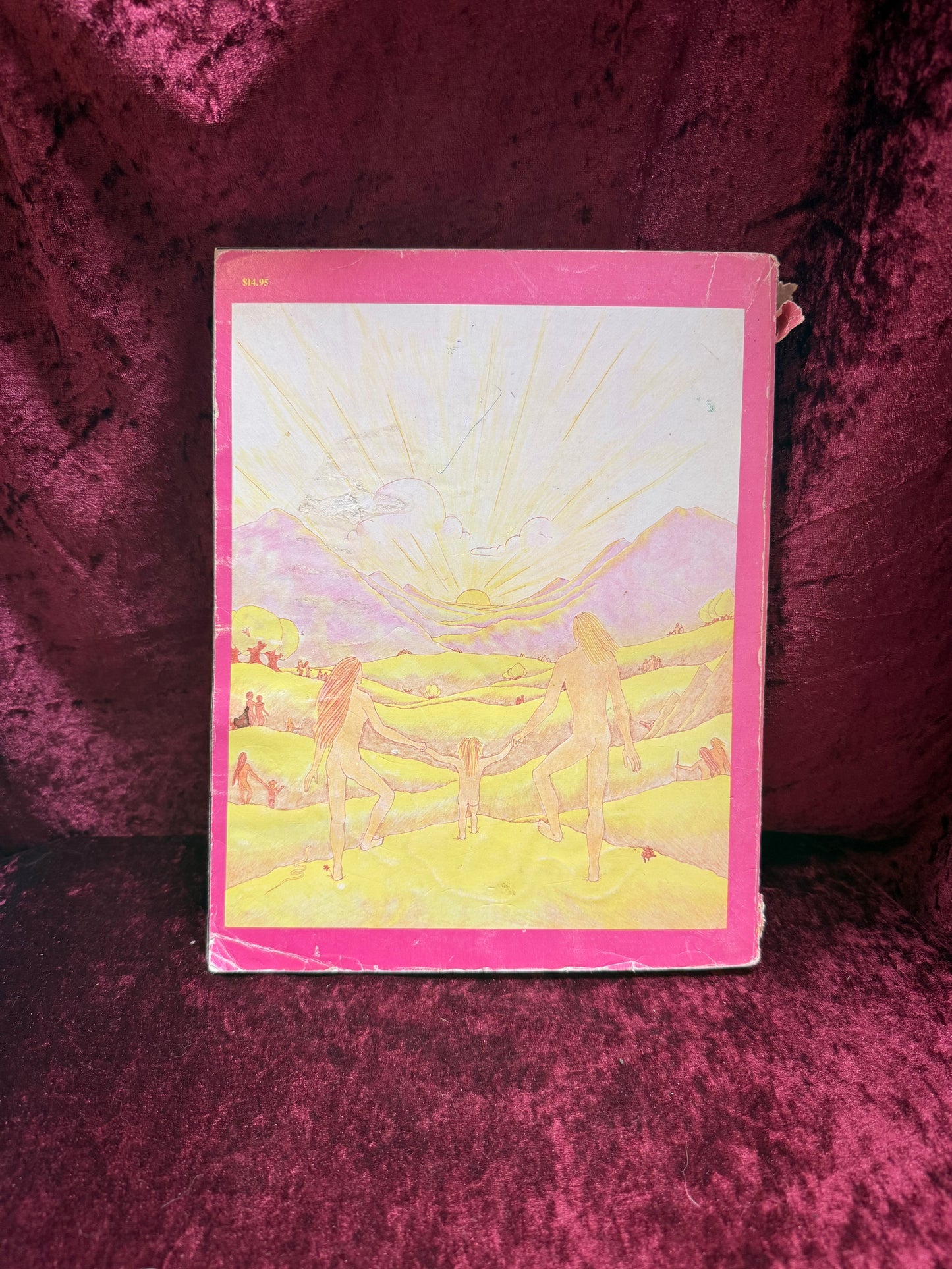 Vintage Paperback Book - Survival Into The 21st Century: A Planetary Healers Manual - Viktoras Kulvinskas- 1975