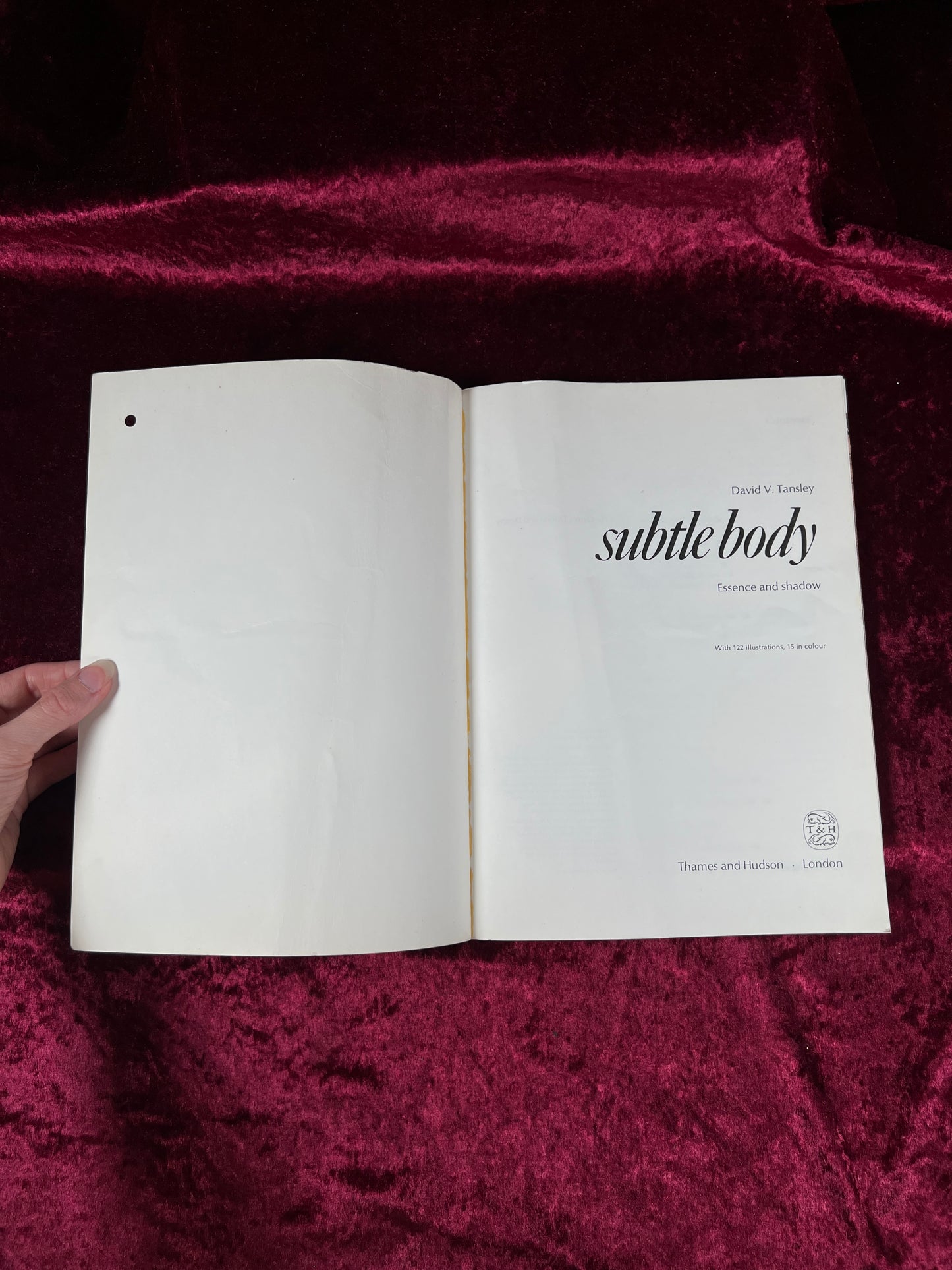 Vintage Paperback Book – The Subtle Body Essence and Shadow David V. Tansley 1977