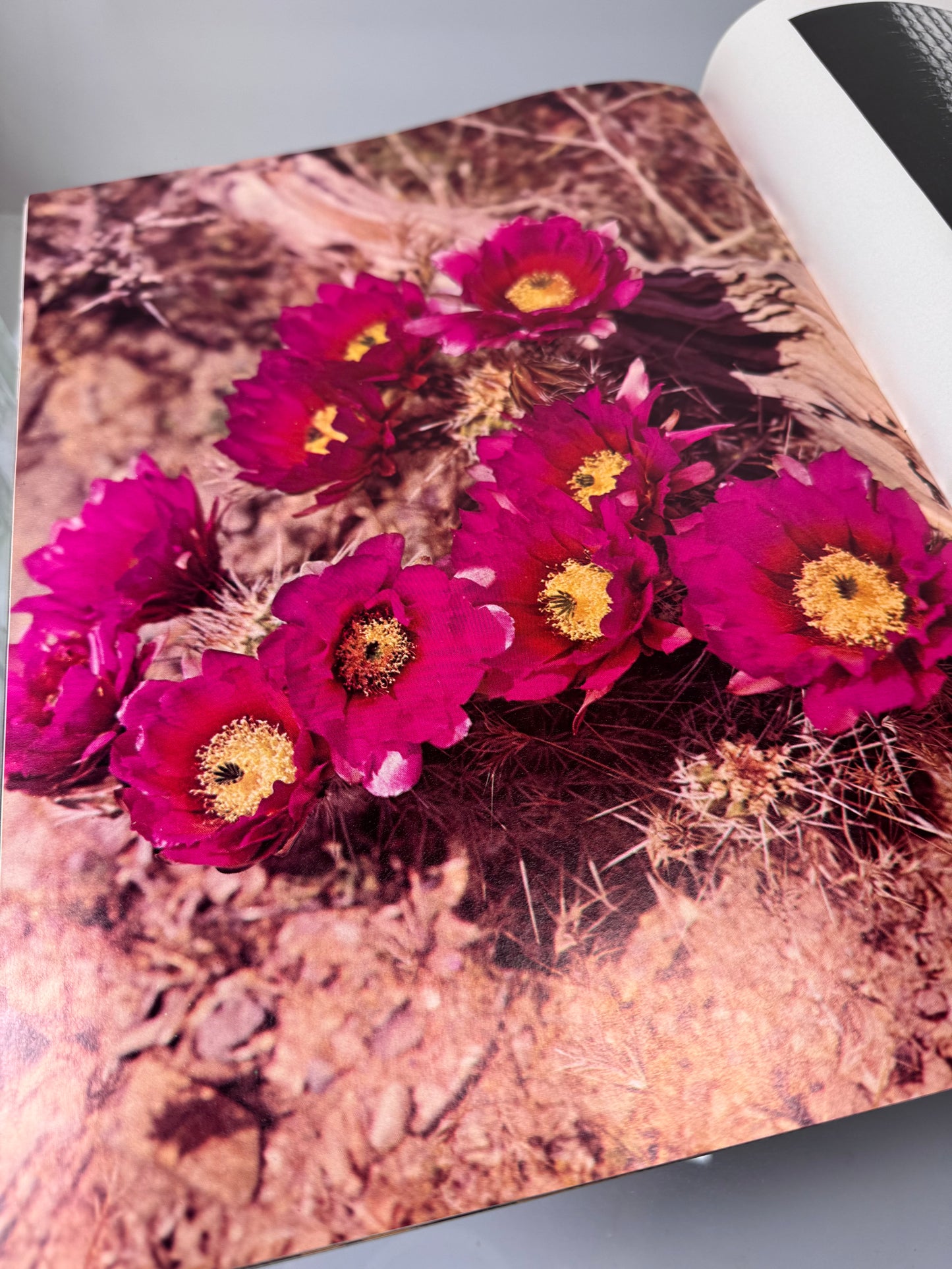 Vintage Ephemera - Arizona Highways Magazine - March 1973