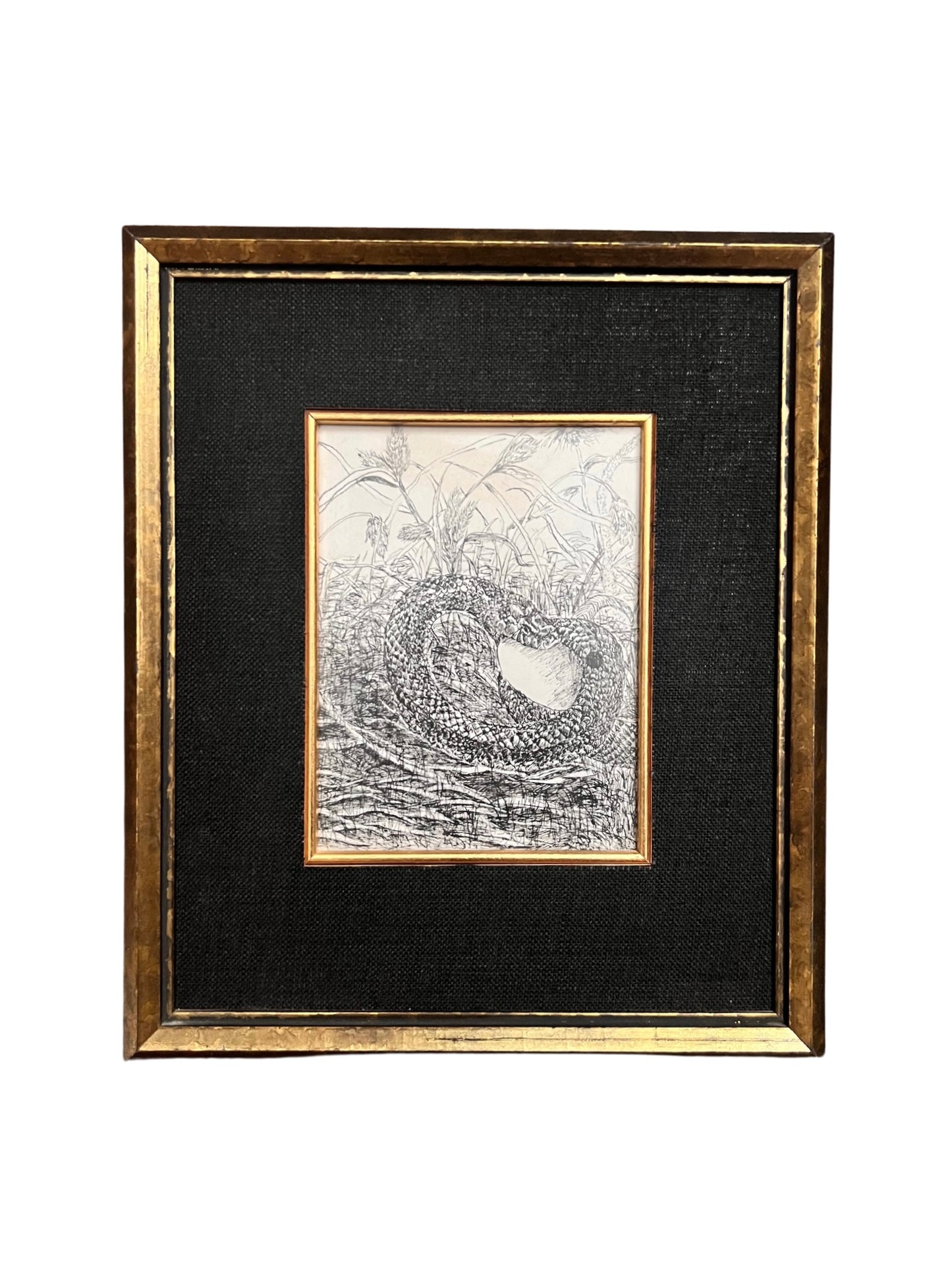 Vintage Framed Wall Art - Egg Eating Snake - Mythology Oddities Mysteries