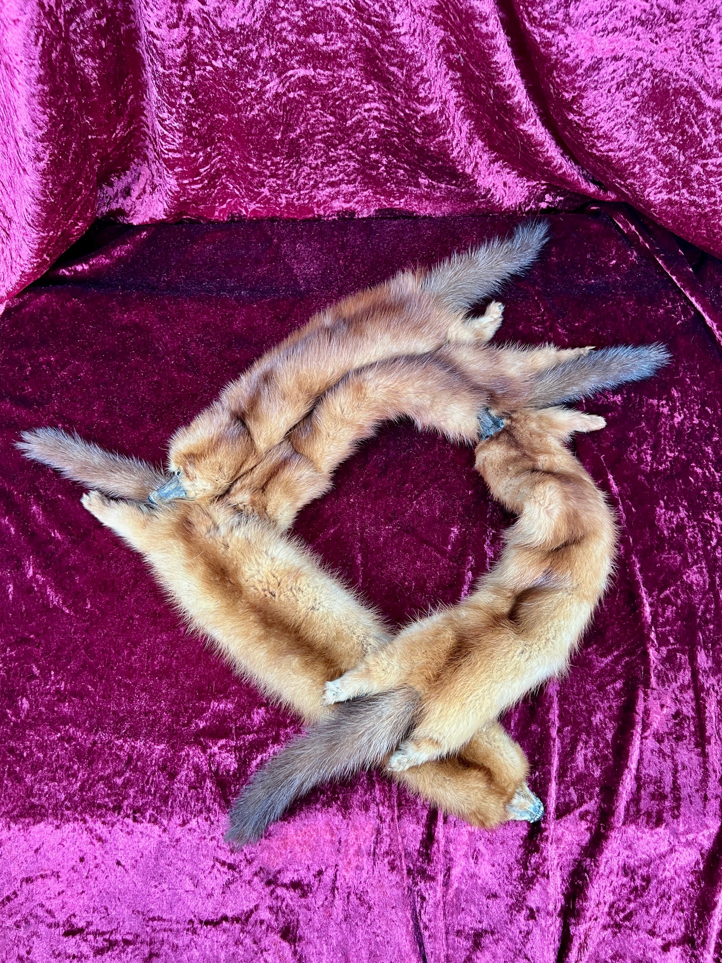 Vintage Fur Shoulder Wrap Stole – Four Red Foxes - 51"