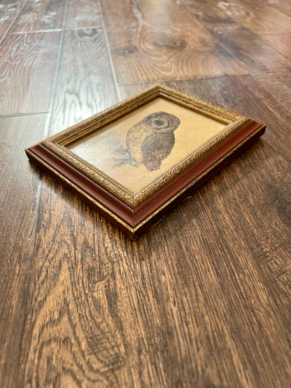 Vintage Framed Albrecht Dürer Owl Print - Ornate Red and Gold Wood Frame