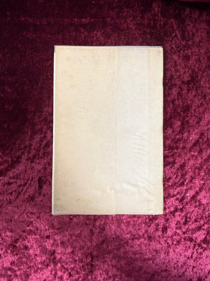 Vintage Paperback Book - A Key To The American Psilocybin Mushroom - Leonard Enos - 1970