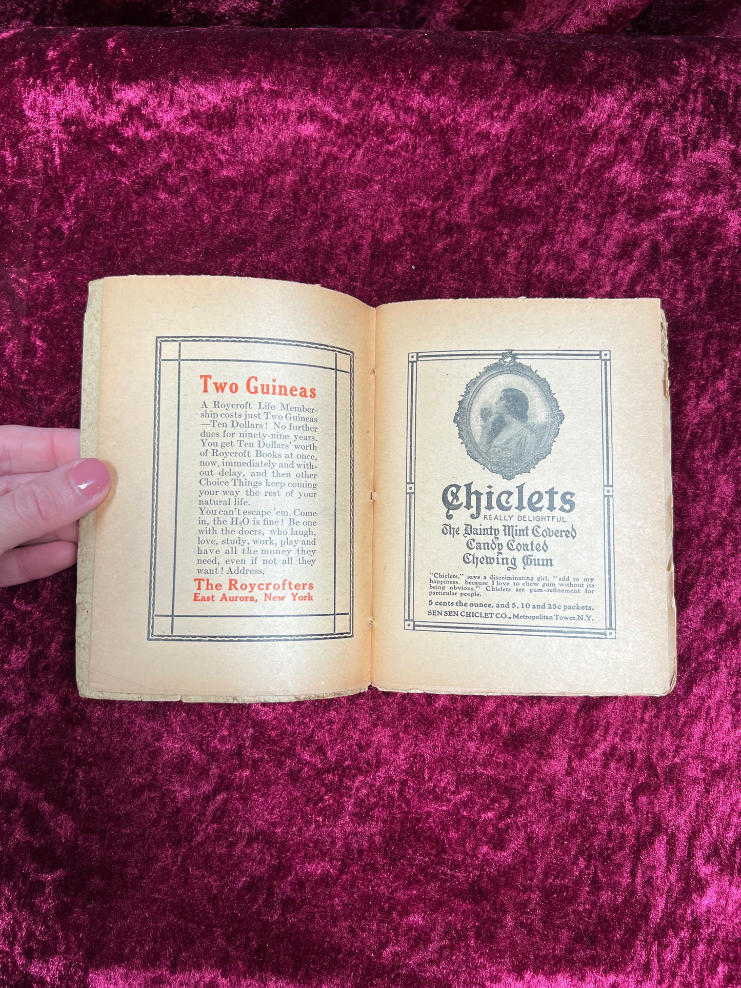 Antique Book - The Philistine: A Periodical of Protest - Volume 34 - No. 1 - December 1911