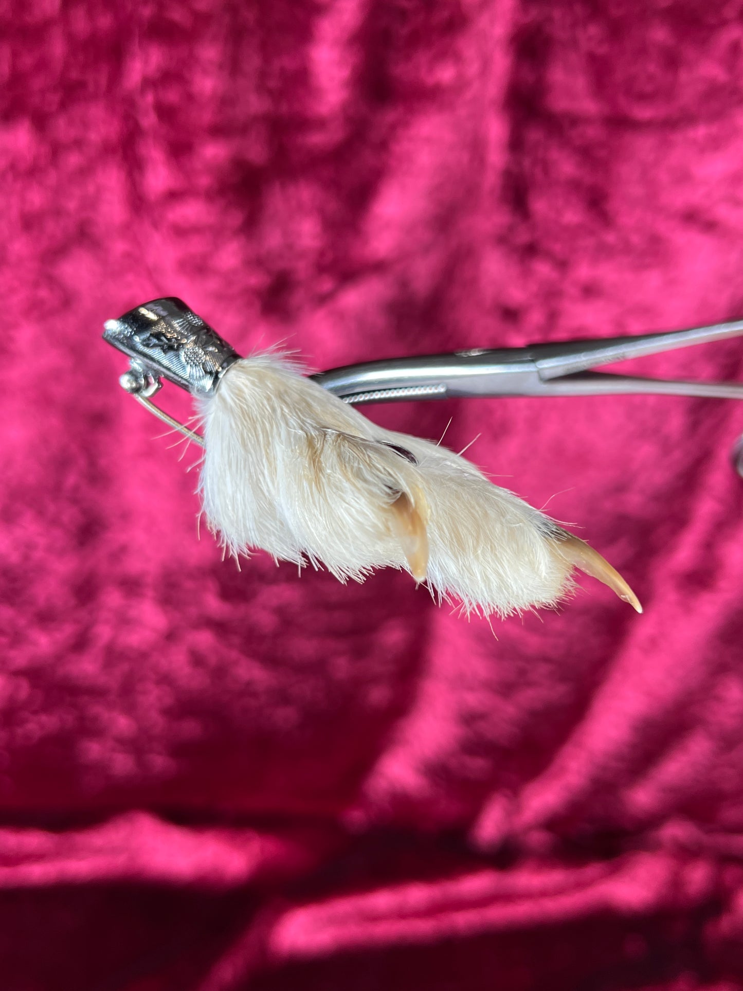 Vintage Jewelry - Taxidermy Brooch - Sterling Silver - Lucky Grouse Foot