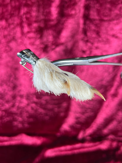 Vintage Jewelry - Taxidermy Brooch - Sterling Silver - Lucky Grouse Foot