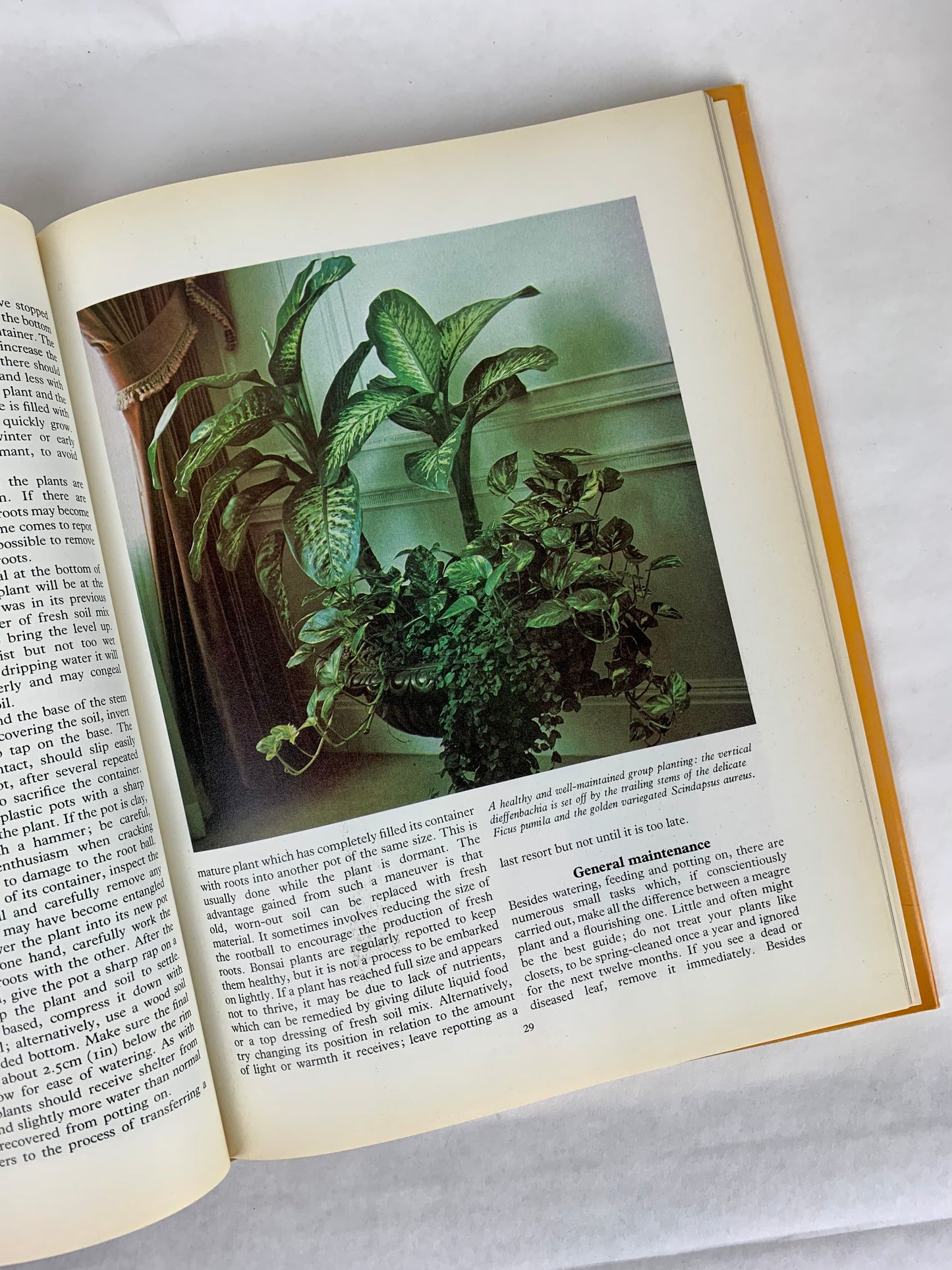 1979 Growing Indoors: A Guide To Flowering and Foliage Plants Hardcover