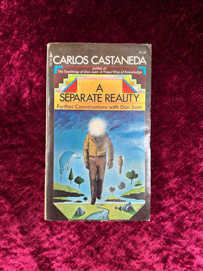 Vintage Paperback Book - A Separate Reality - Carlos Castaneda - Pocket Books 1973