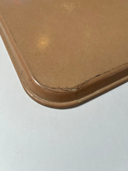 Vintage SiLite Fiberglass Cafeteria Tray - Beige Tan - 18" X 14"