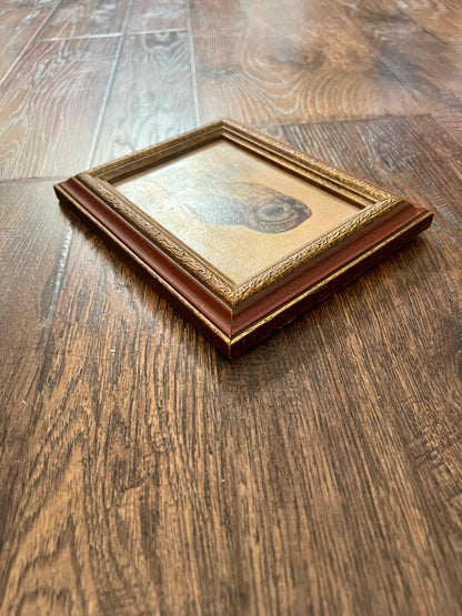 Vintage Framed Albrecht Dürer Owl Print - Ornate Red and Gold Wood Frame
