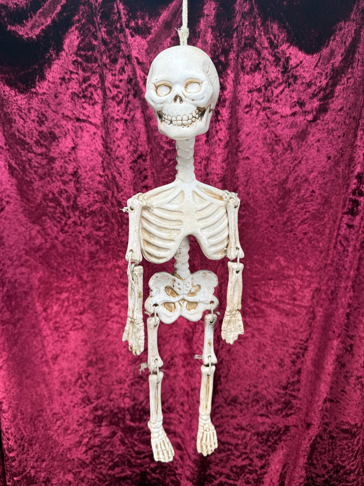 Vintage Halloween - Jointed Hanging Skeleton - Ceramic