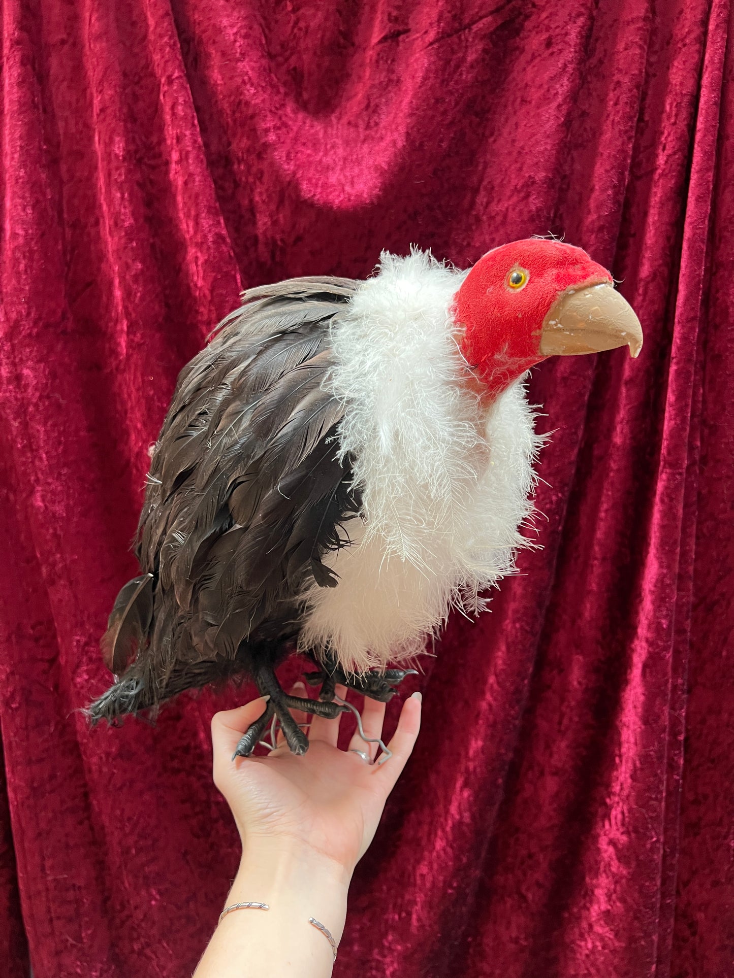 Vintage Repro Realistic Vulture Bird Prop