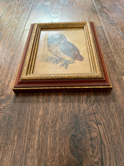 Vintage Framed Albrecht Dürer Owl Print - Ornate Red and Gold Wood Frame