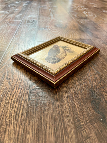 Vintage Framed Albrecht Dürer Owl Print - Ornate Red and Gold Wood Frame