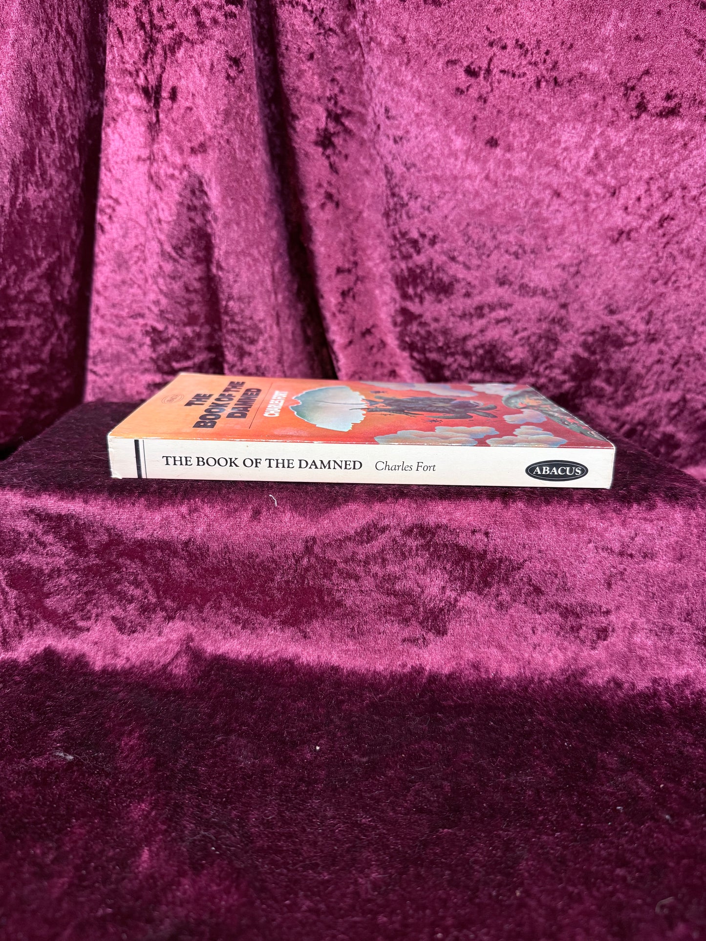 Vintage Paperback Book – The Book of the Damned Charles Fort 1974 Edition