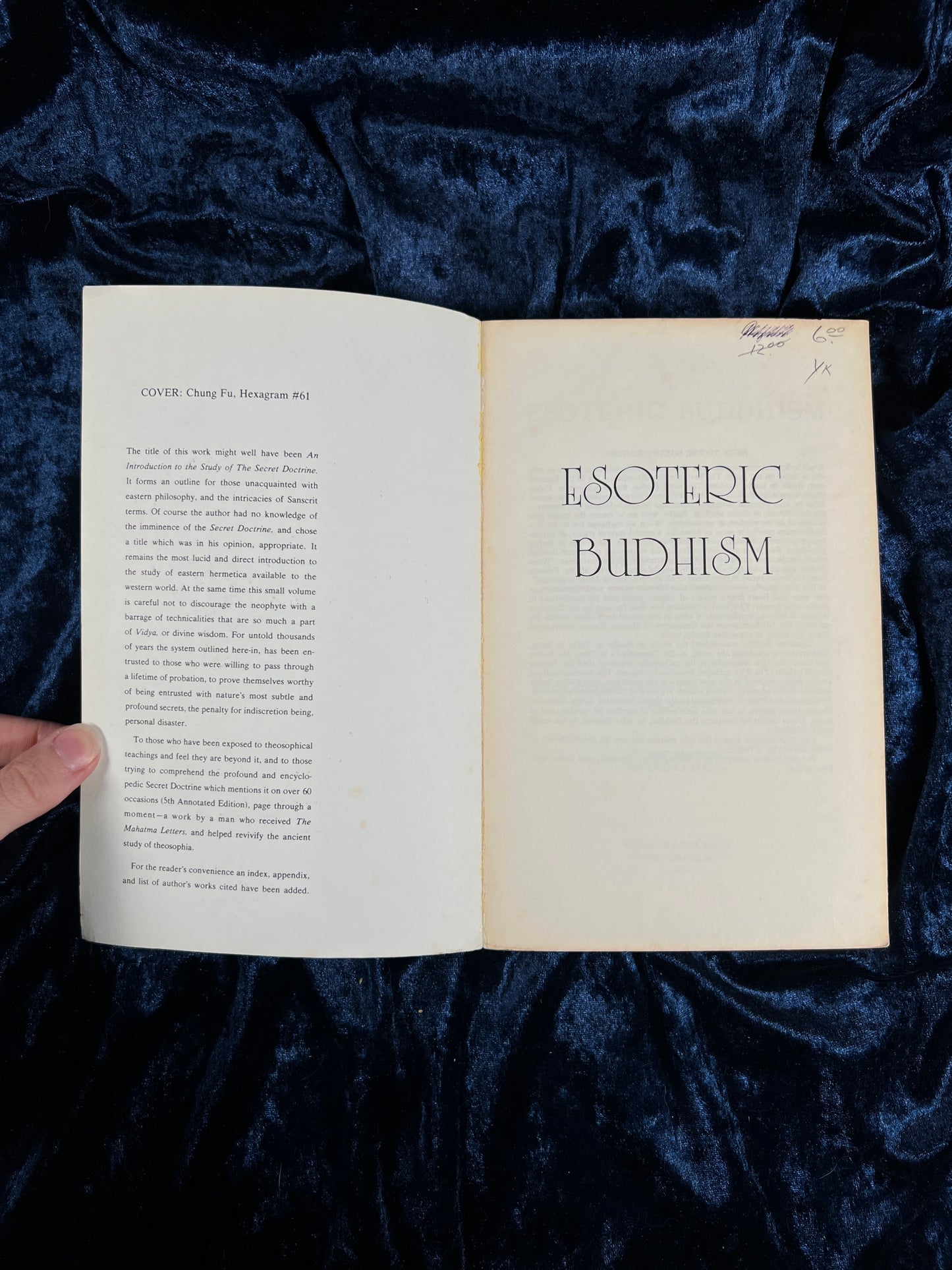 Vintage 1973 Esoteric Buddhism Book - A.P. Sinnett Occult Theosophy