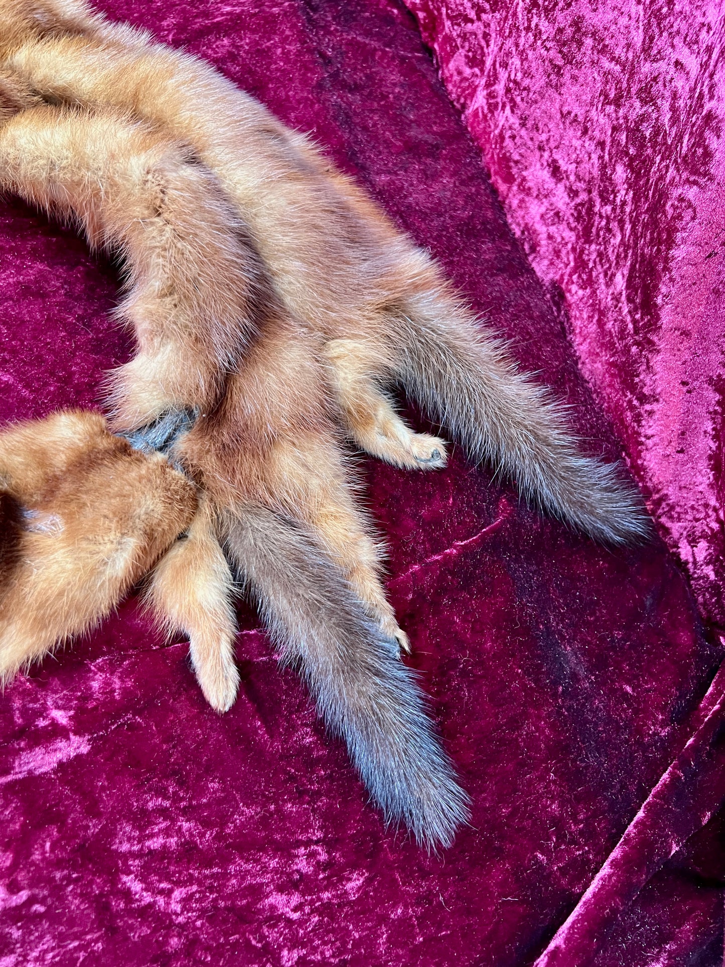 Vintage Fur Shoulder Wrap Stole – Four Red Foxes - 51"