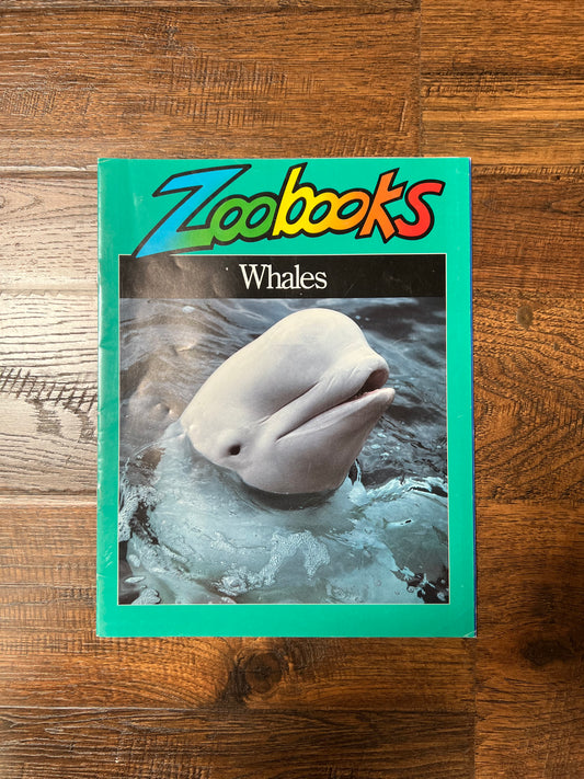 Vintage Ephemera - Magazine - Zoobooks - Whales - 1986