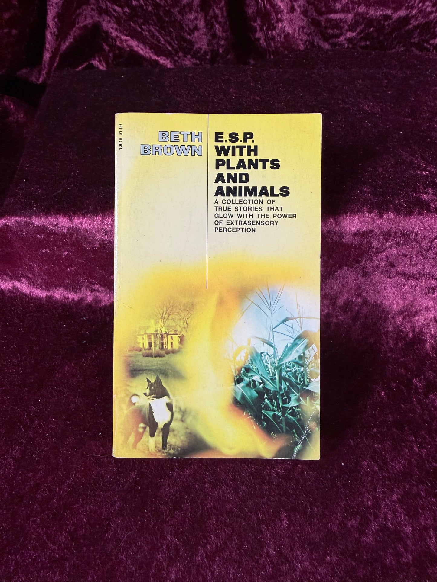 Vintage ESP with Plants and Animals by Beth Brown 1971 Paranormal Paperback Book