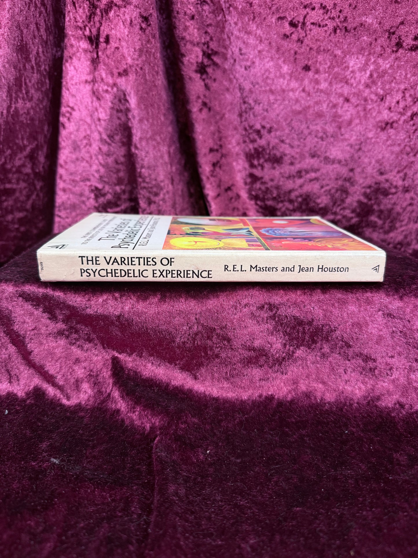 Vintage Paperback Book – The Varieties of Psychedelic Experience REL Masters