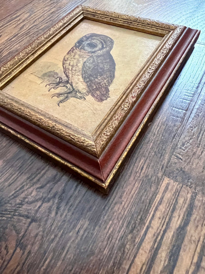 Vintage Framed Albrecht Dürer Owl Print - Ornate Red and Gold Wood Frame