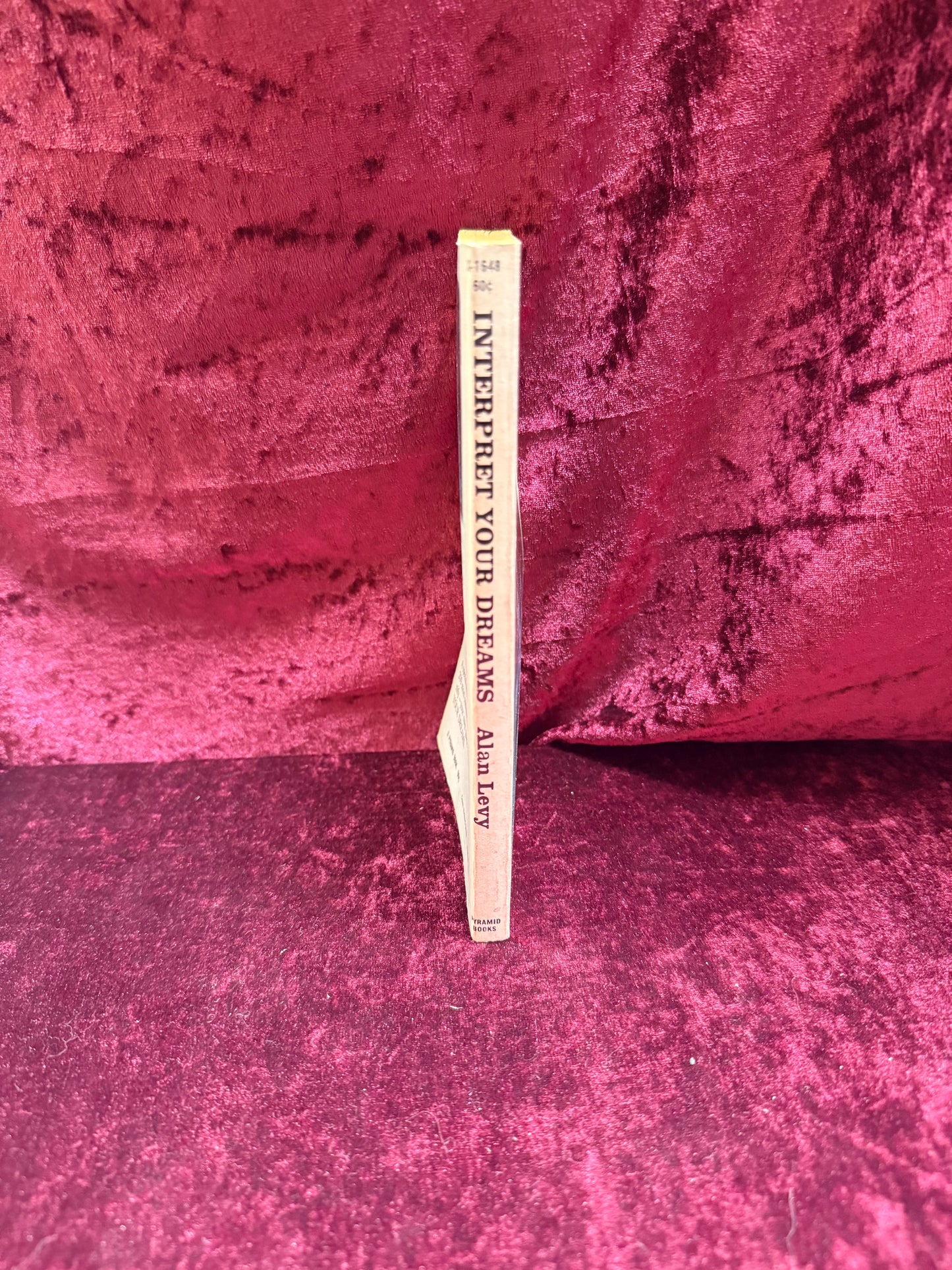 Vintage Paperback Book - Interpret Your Dreams - Alan Levy - 1967