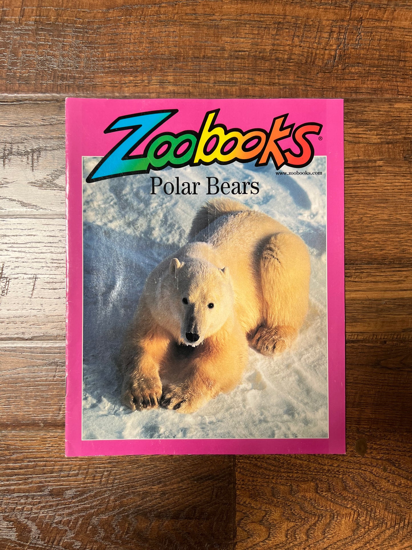 Vintage Ephemera - Magazine - Zoobooks - Polar Bears - March 2002