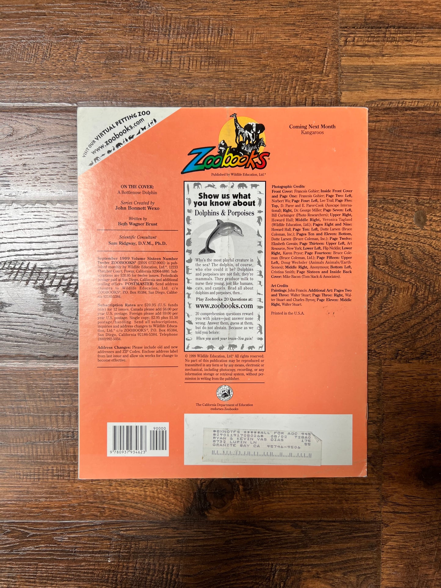 Vintage Ephemera - Magazine - Zoobooks - Dolphins and Porpoises - September 1999