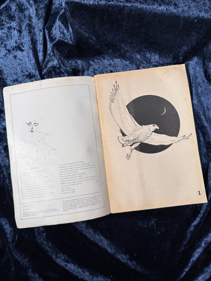 Vintage Paper Counterculture Magazine – CoEvolution Quarterly Whole Earth 1974
