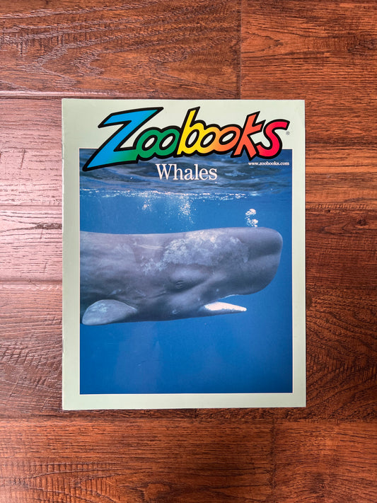 Vintage Ephemera - Magazine - Zoobooks - Whales - June 2001