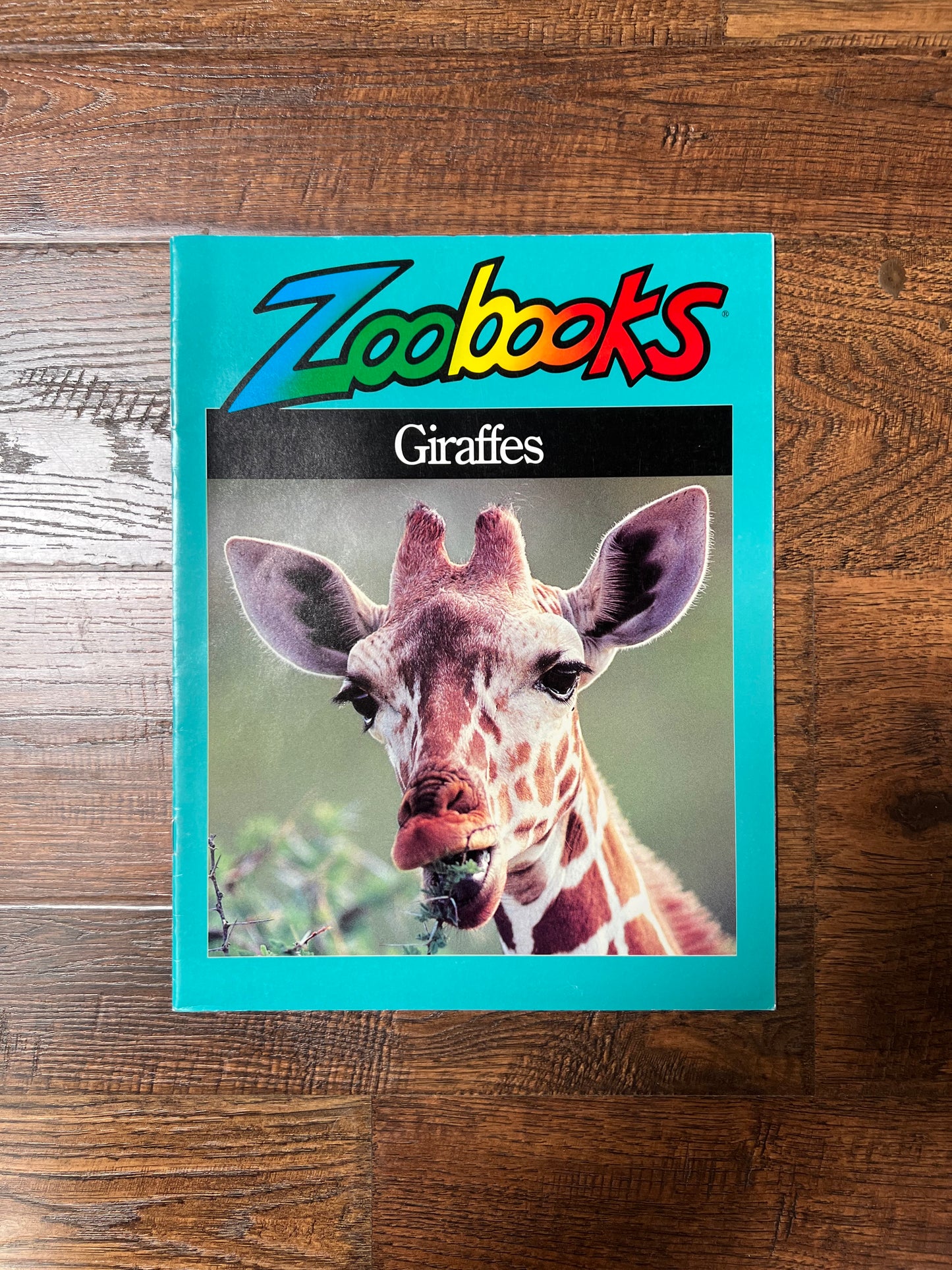Vintage Ephemera - Magazine - Zoobooks - Giraffes - 1991