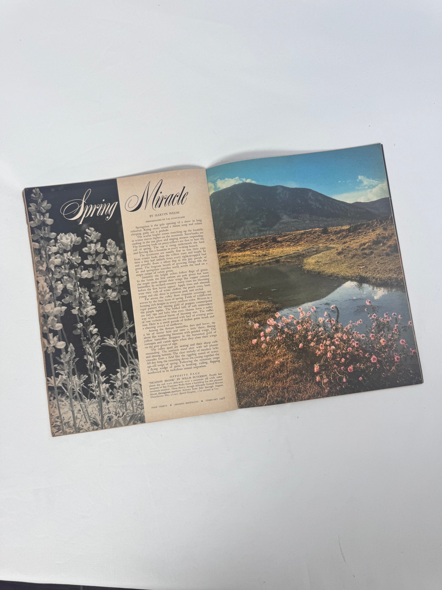 Vintage Ephemera - Arizona Highways Magazine - February 1956