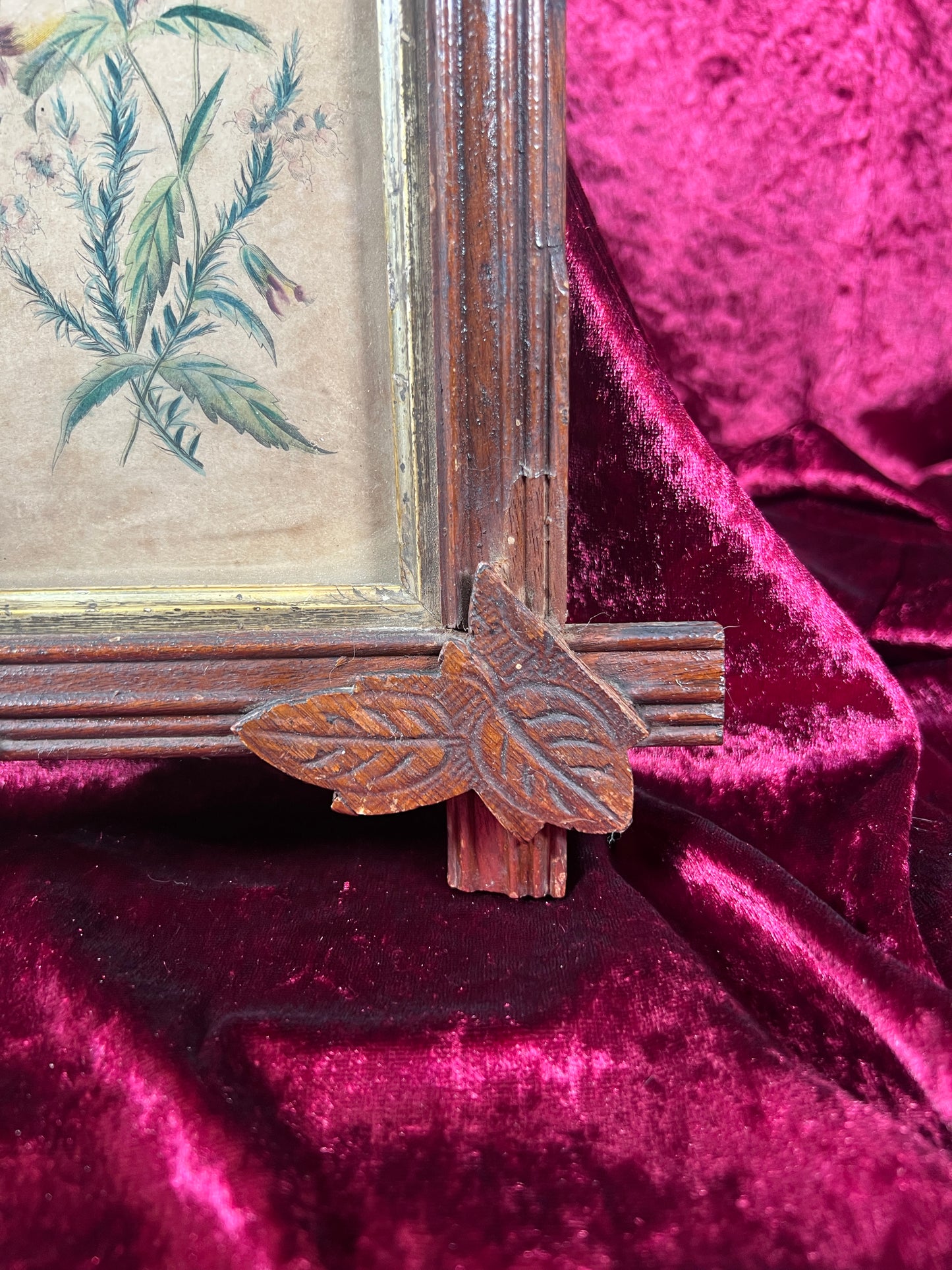 Vintage Wall Art - Antique Black Forest Style Frame - Spring Florals Illustration