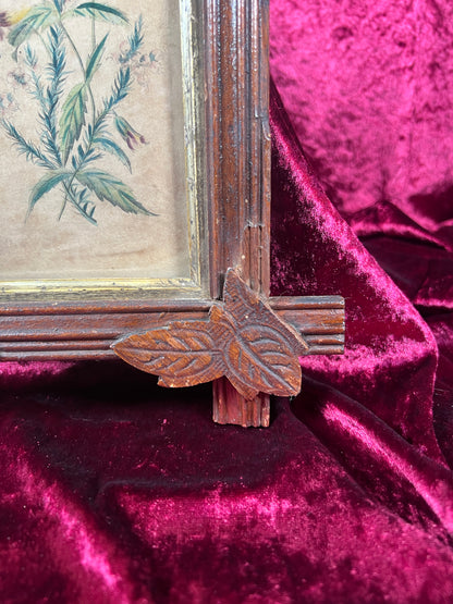 Vintage Wall Art - Antique Black Forest Style Frame - Spring Florals Illustration