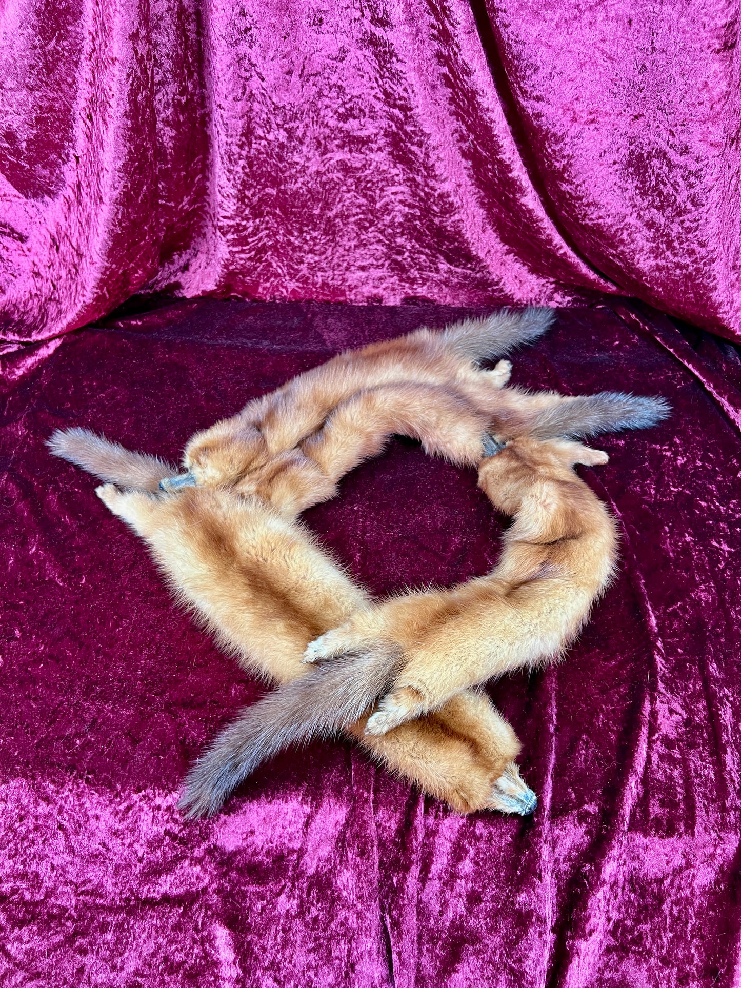 Vintage Fur Shoulder Wrap Stole – Four Red Foxes - 51"