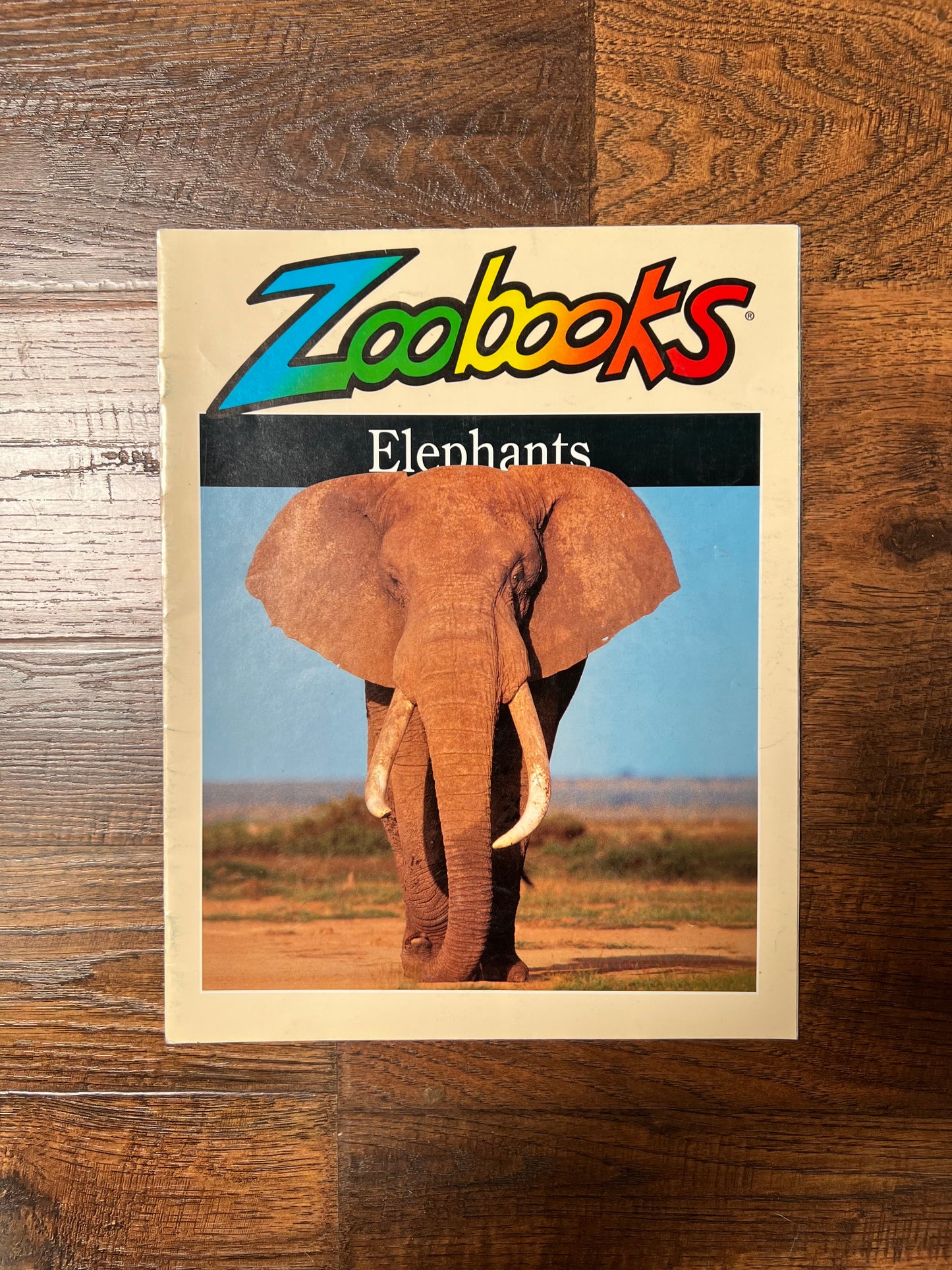 Vintage Ephemera - Magazine - Zoobooks - Elephants - 1999