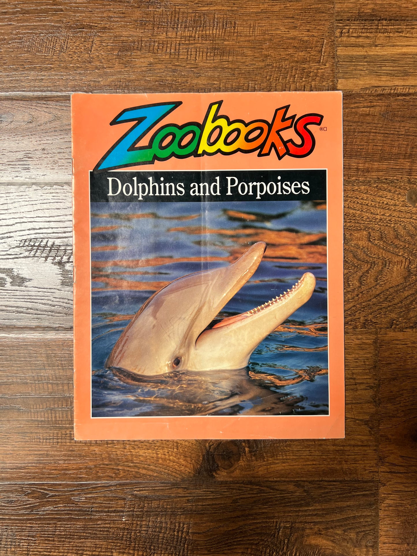 Vintage Ephemera - Magazine - Zoobooks - Dolphins and Porpoises - September 1999