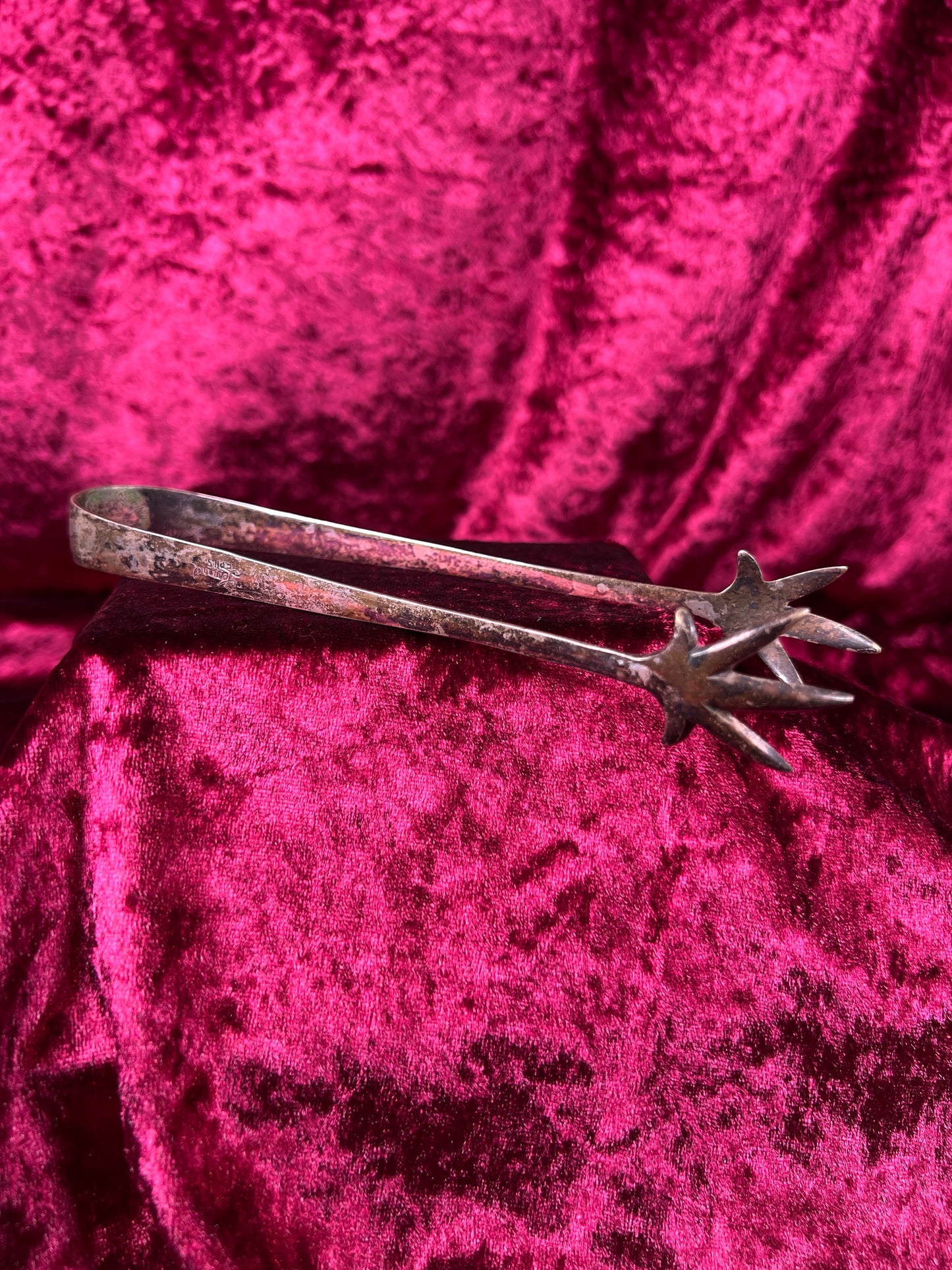 Vintage Kitchen - Sugar Cube Tongs - Dragon Claws - Silver Plate - Leonard EPNS