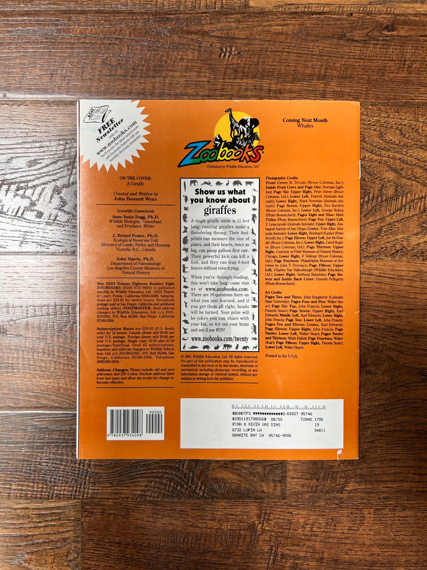 Vintage Ephemera - Magazine - Zoobooks - Giraffes - May 2001