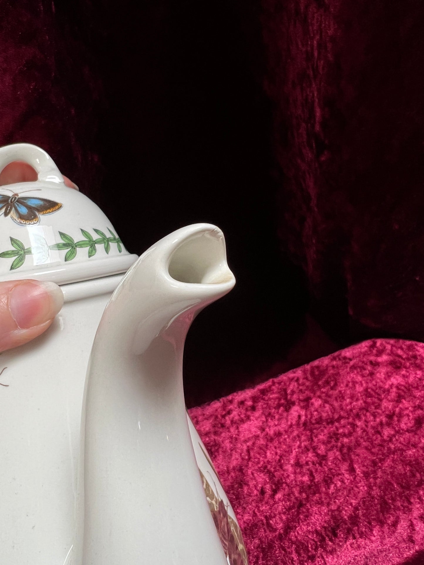 Vintage Ceramic Coffee Pot - Botanic Garden Hyacinth Butterfly Portmeirion