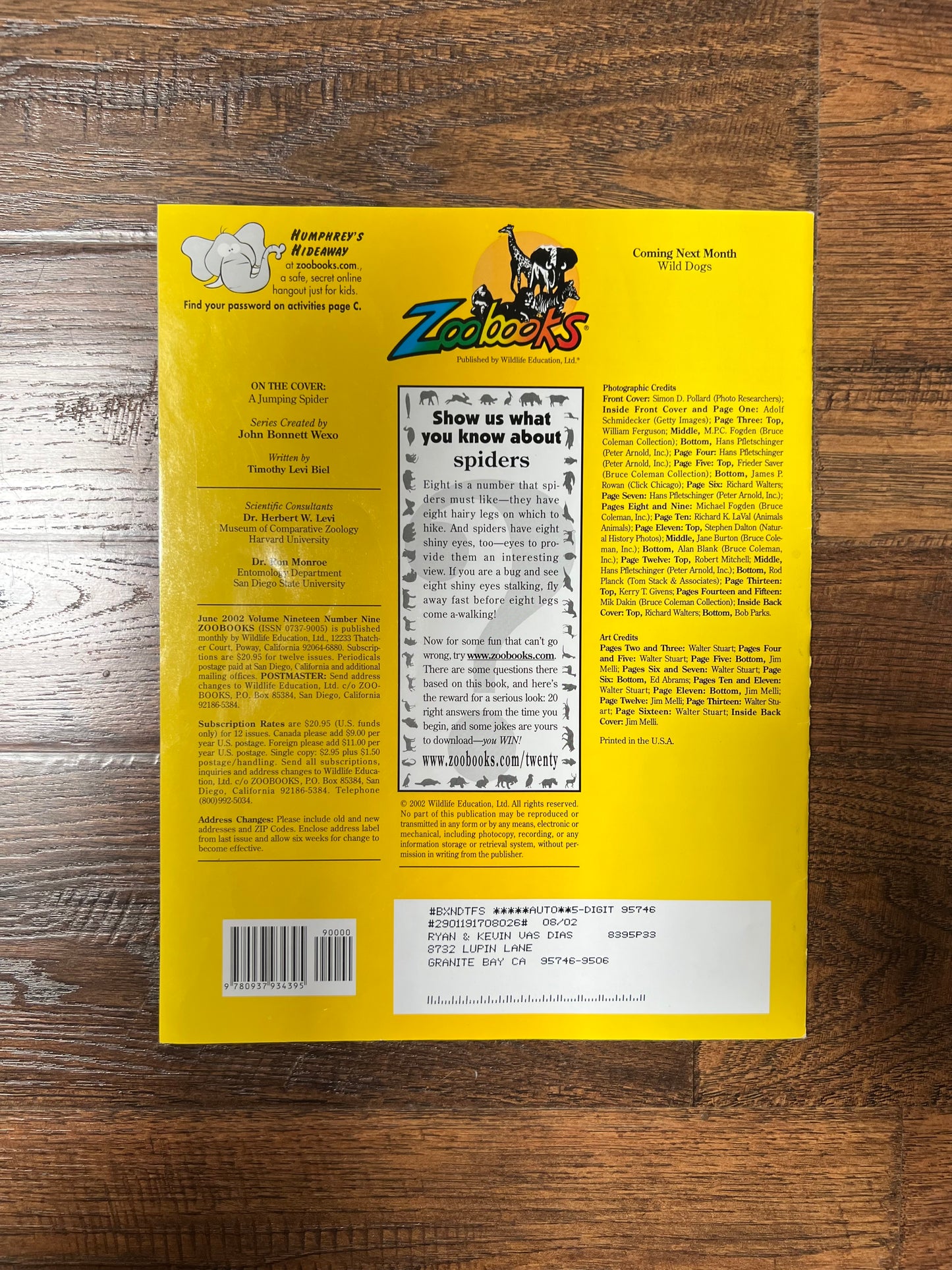 Vintage Ephemera - Magazine - Zoobooks - Spiders - June 2002