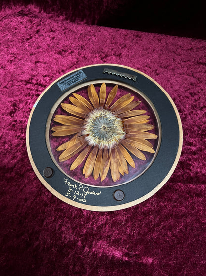Vintage Pressed Sunflower Wall Art - Real Flower Round Wood Frame