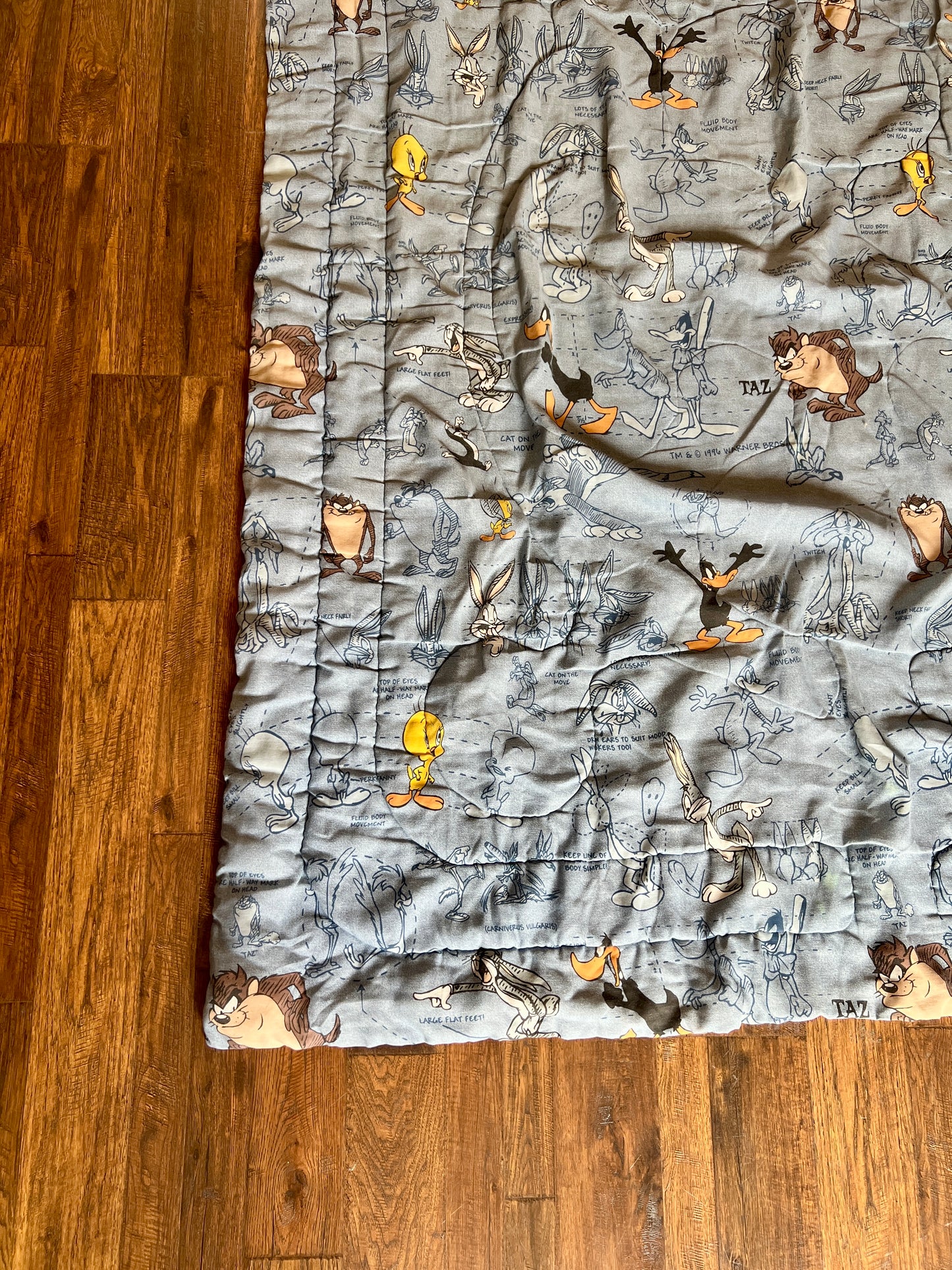 Vintage Linens - Twin Size Comforter - Warner Bros Looney Tunes Characters - 1996 - 82" X 68"
