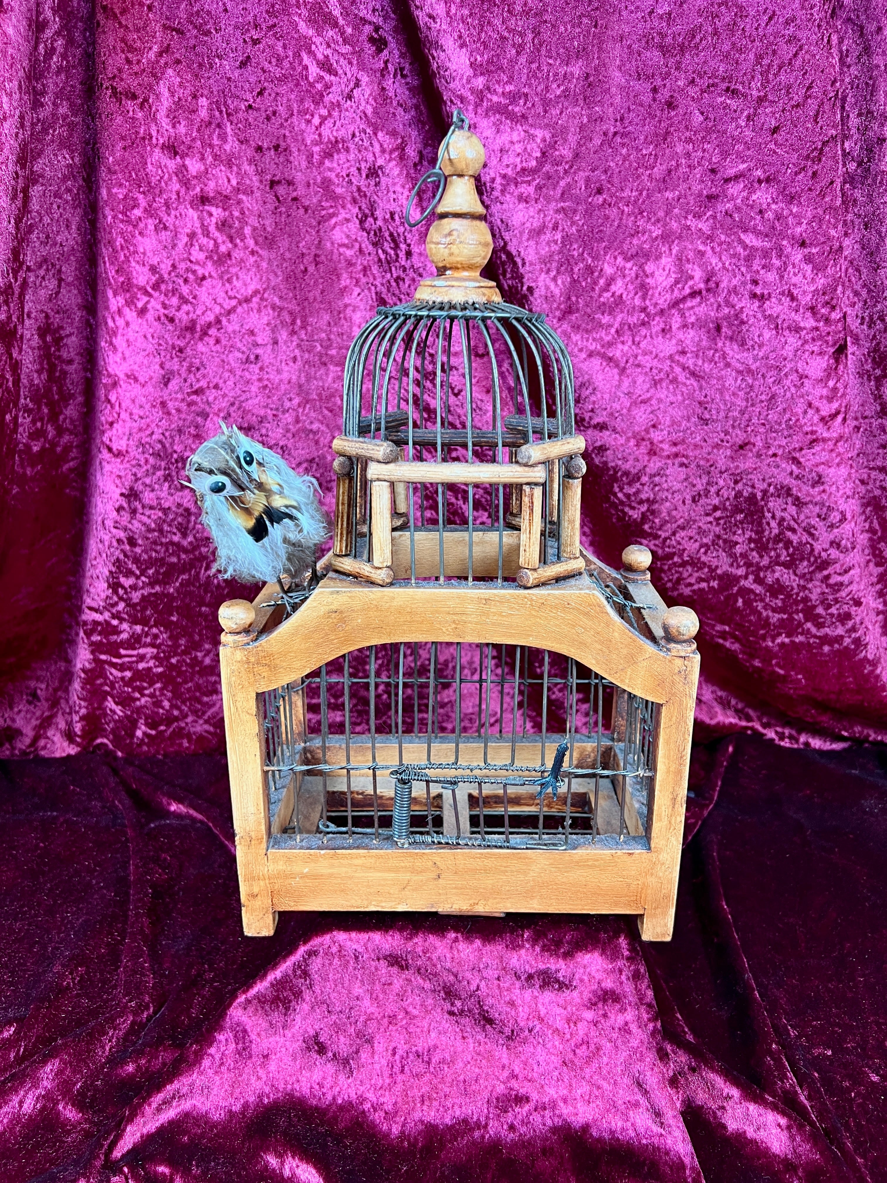 Antiques & Curiosities | Unique Vintage Oddities at The Cat Vintage
