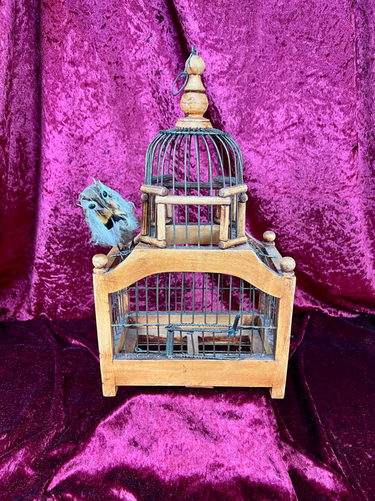 Vintage Victorian Style Decorative Domed Wire Birdcage – Googly-Eyed Bird