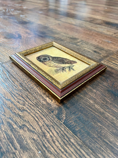 Vintage Framed Albrecht Dürer Owl Print - Ornate Red and Gold Wood Frame
