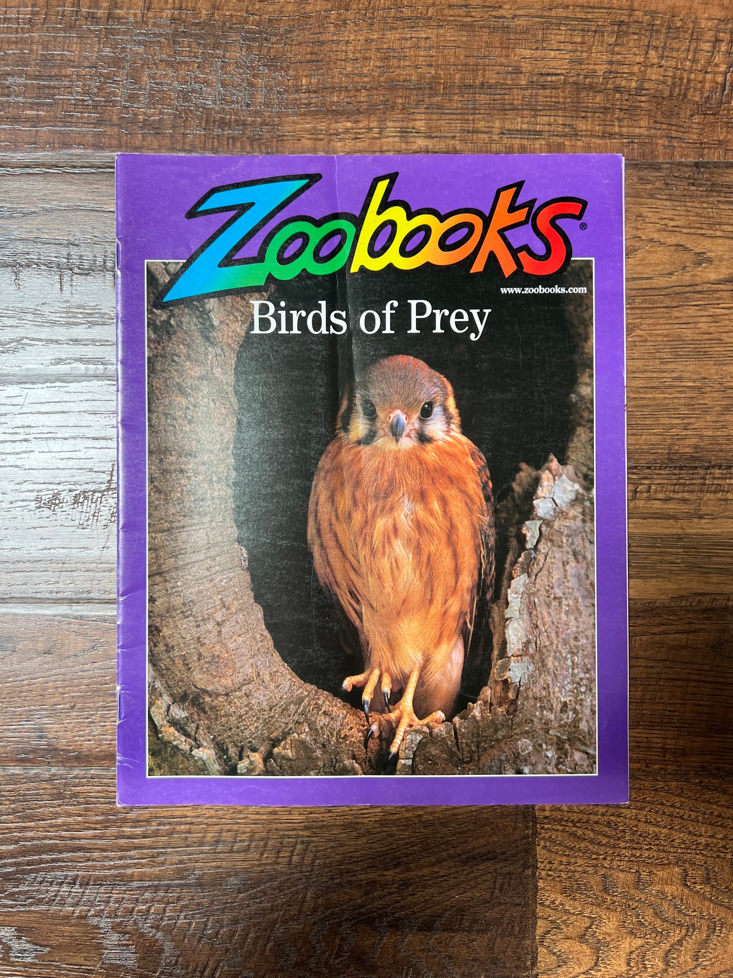 Vintage Ephemera - Magazine - Zoobooks - Birds of Prey - February 2001