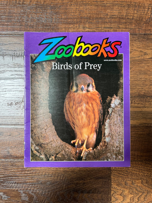 Vintage Ephemera - Magazine - Zoobooks - Birds of Prey - February 2001