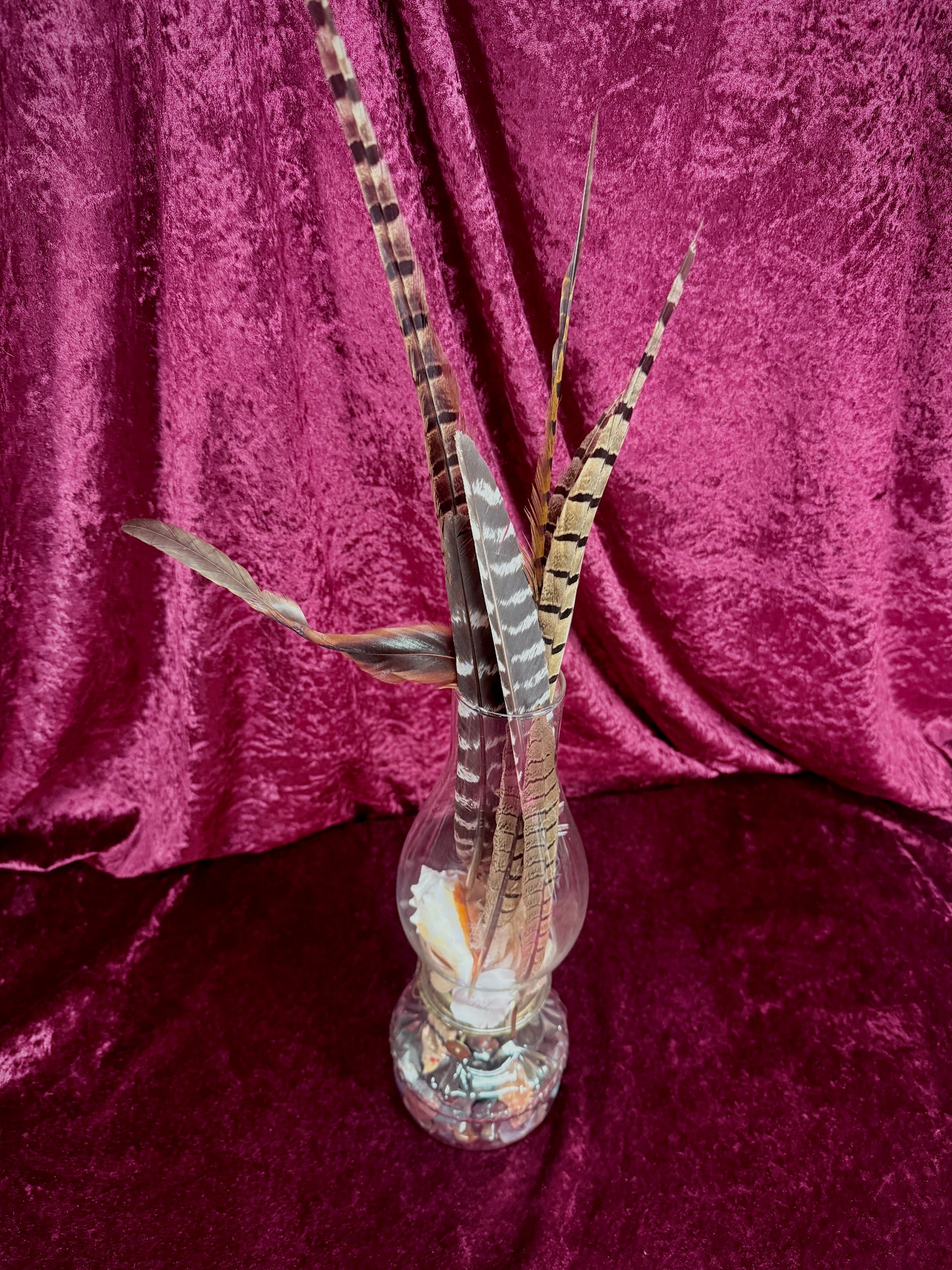 Vintage Glass Oil Lamp – Natural Feather and Shell Curio Display