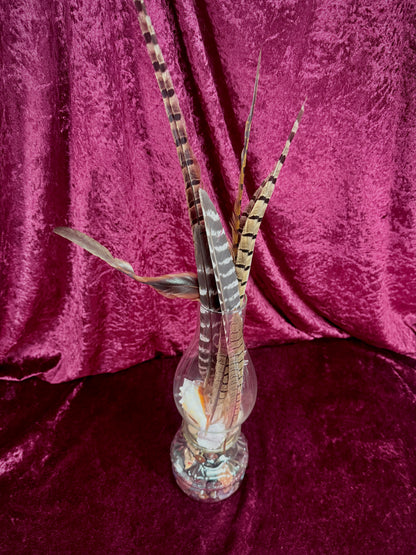 Vintage Glass Oil Lamp – Natural Feather and Shell Curio Display